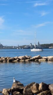 Une journée ensoleillée au Port Marchand. 🌞🌊