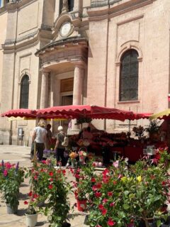 Mercredi, c’est jour de marché sur le Cours Lafayette à Toulon. Retrouvez les saveurs de Provence, les producteurs locaux et l’ambiance typique du Sud au cœur de la ville ☀️🫒🍅
